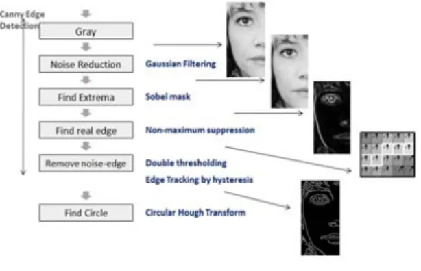 그림 3.  얼굴 비율 마스크 Fig. 3 Face Ratio Mask