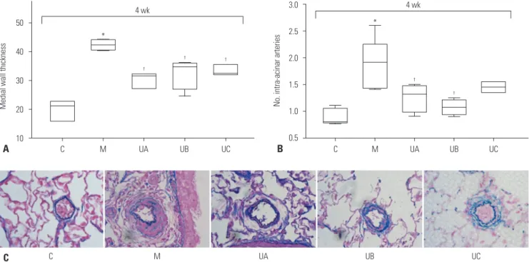 Fig. 5. Pathologic findings in MCT-induced PAH rats according to dose of hUCB-MSCs at week 4