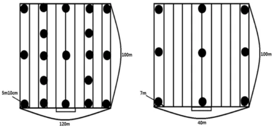 Fig. 1.  The first greenhouse was divided into 19 areas and sampled for analysis, whereas the second greenhouse was divided into 9 areas  and was sampled to validation analysis results for the first greenhouse.
