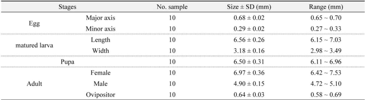 Table 3.  Volume and days of rainfall in Gwangju in 2013 Periods June, 2013 July Aug. Sep.