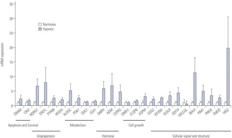 Fig. 4. Gene validation of hypoxia-stimulated cancer stem-like cells. Each gene expression was identified through a real-time qPCR