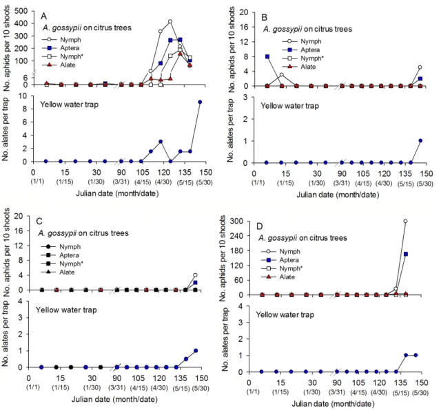 Fig. 2.  The population density of A. gossypii on Mandarin citrus trees and in a yellow water trap during winter season in a non-heating  plastic-film house