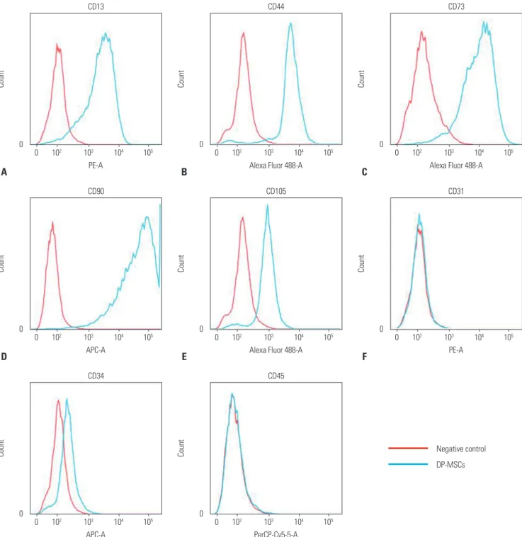 Fig. 1. DP-MSC surface marker analysis using flow cytometry. (A) CD13 positive, (B) CD44 positive, (C) CD73 positive, (D) CD90 positive, and (E) CD105  positive
