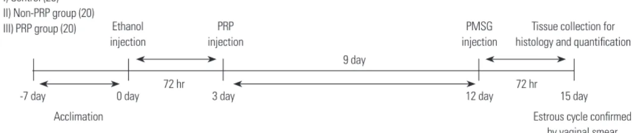 Fig. 1. Outline of the experimental schedule. PRP, platelet-rich plasma; PMSG, pregnant mare serum gonadotropin.