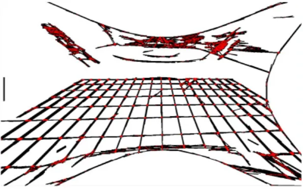 그림 9. Hough 변환을 이용하여 직선 성분을 추출한 이미지 Fig. 9 Image which extracts line components by using  Hough transform 다음으로 직선 성분들을 검출한 이미지를 이용하여  직선 성분들이 만나는 모든 교점들에 점을 찍어 그리드  는 과정을 구현하였는데,  그림 10과 같이 패턴 내부의  코너들을 포함하여 다른 부분도 후보 영역으로 추출된 것을 볼 수 있다.그림 10