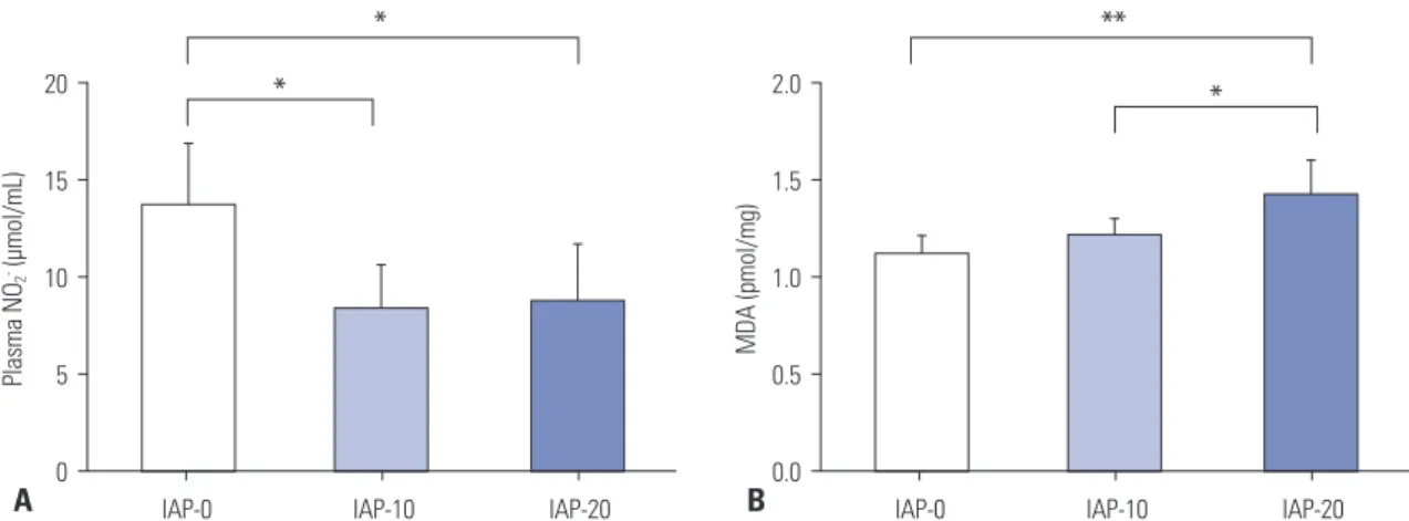 Fig. 1. Effect of CO 2  pneumoperitoneum at different IAPs on plasma nitrite and tissue MDA concentrations