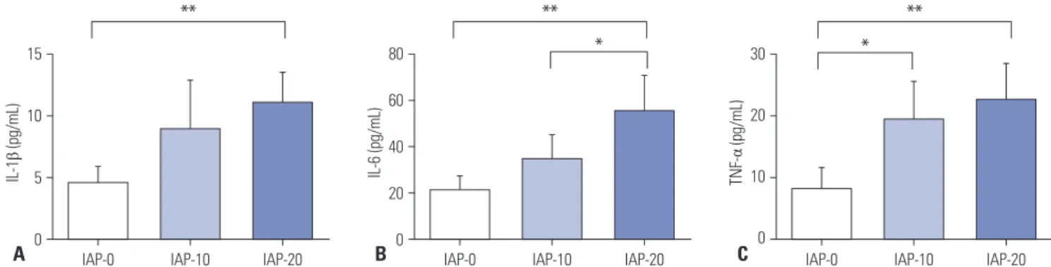 Fig. 4. Effect of CO 2  pneumoperitoneum at different IAPs on proinflammatory cytokine concentrations