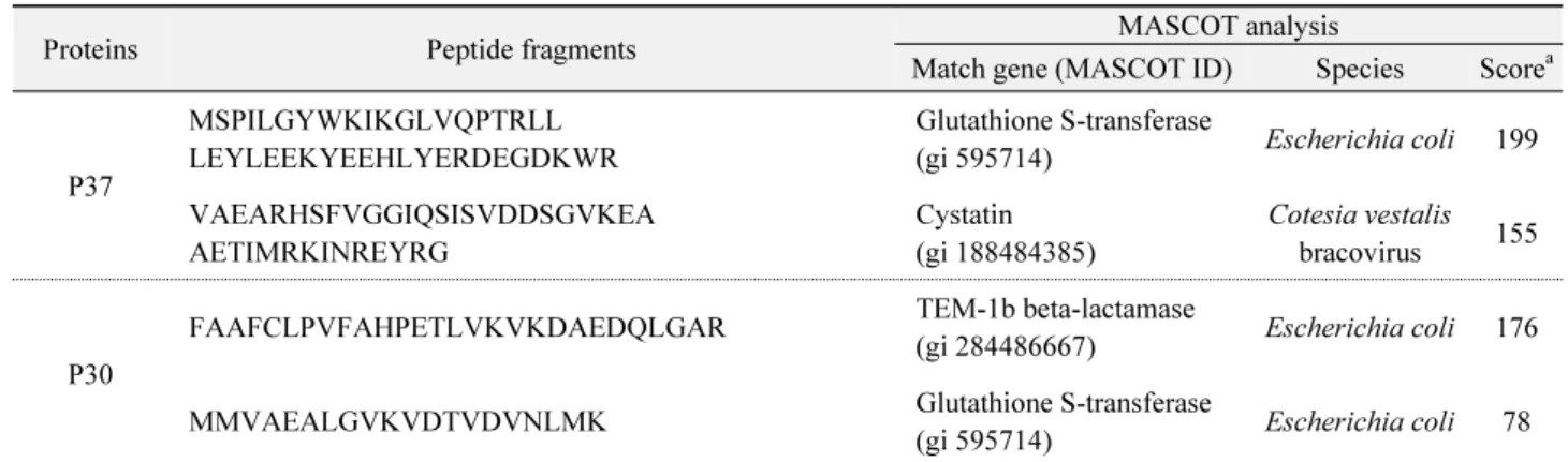 Fig. 2.  Cystatin activity of a recombinant CpBV-CST1 (rCpBV-  CST1). A reaction (200  ㎕) consisted of papain (0.6 units), BAPNA  (0.5 mM), and rCpBV-CST1 (25  ㎍)