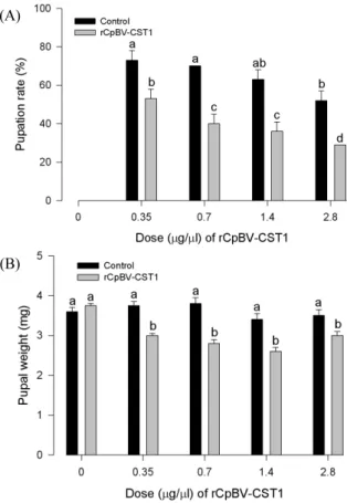 Fig. 4.  Adverse effect of a recombinant CpBV-CST1 (‘rCpBV-CST1’) on larval development of Plutella xylostella with respect to pupation rate (A) and pupal weight (B)
