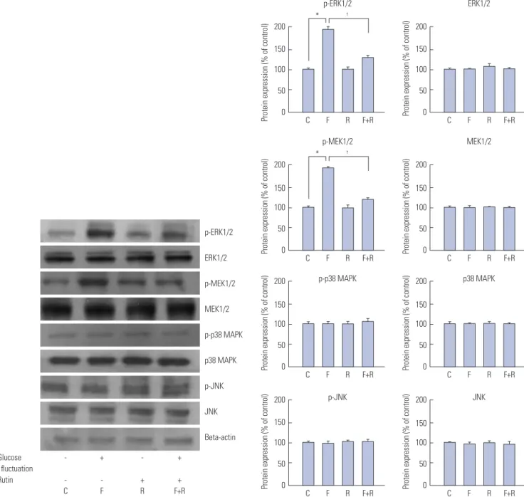 Fig. 2. Inhibitory effects of rutin on proliferation of vascular smooth muscle cells (VSMCs) at fluctuating glucose concentrations through the mitogen-acti- mitogen-acti-vated protein kinase (MAPK) signaling pathway determined by western blot analysis
