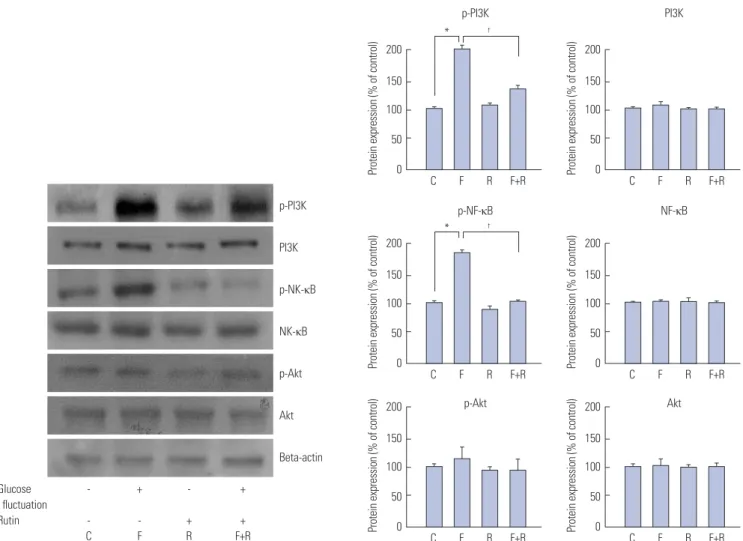 Fig. 3. Inhibitory effects of rutin on proliferation of vascular smooth muscle cells (VSMCs) at fluctuating glucose concentrations through nuclear factor  kappa B (NF-κB) and phosphoinositide 3-kinase (PI3K)/Akt pathway determined by western blot analysis
