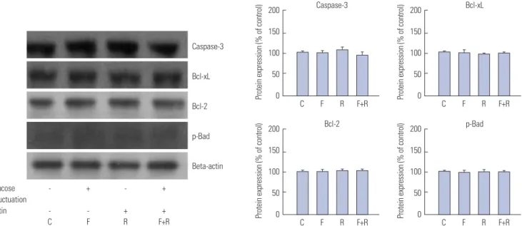 Fig. 5. Inhibitory effect of rutin on proliferation of vascular smooth muscle cells (VSMCs) through apoptotic pathways determined by western blot analy- analy-sis