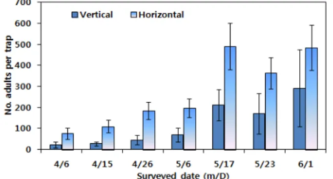 Fig. 1.  Comparison of the number of  Bemisia tabaci adults caught on yellow-color sticky traps placed vertically 10 cm above plant  height and horizontally 60 cm above ground in a tomato greenhouse.