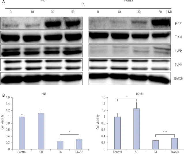 Fig. 3A. An increase in phosphorylation of p38 as well as JNK  was observed (Fig. 3A) post TA treatment