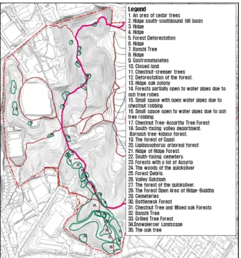 Figure 7. Experienced natural education resources of Youngheung Park
