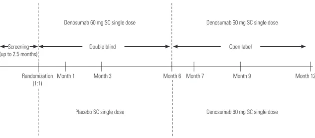 Fig. 1. Study design. SC, subcutaneous.
