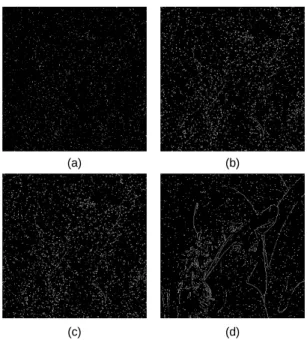 Fig. 5 Edge detection results of the filtered images（a)  A - T MF (b) AWMF (c) SAWMF (d) PA A-TMF으로 처리한 영상은 전체적으로 어두운 결 과를 나타내었고,  에지 결과도 흐릿하여 다소 미흡한  결과를  나타내었으며, AWMF, SAWMF으로  처리한  영상은 잡음 영역에서 에지에 오류를 발생하였다