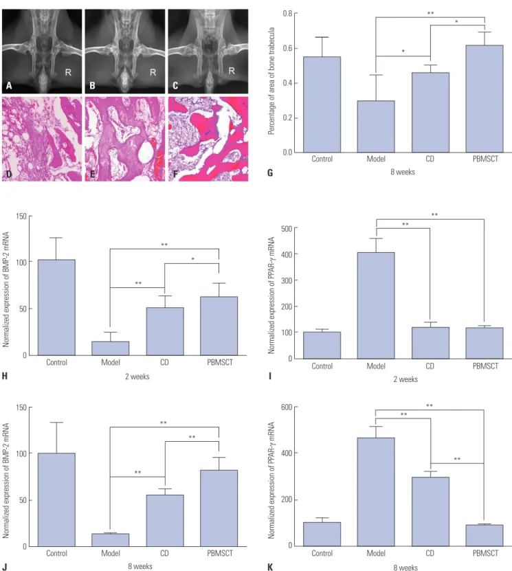 Fig. 6. Radiographs, histopathologic changes, and expression of BMP-2 and PPAR-γ of FHs in all rabbit groups