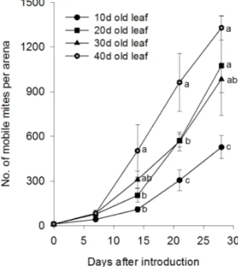 Fig. 1.  Effects of citrus leaf age on the multiplication of  A. 
