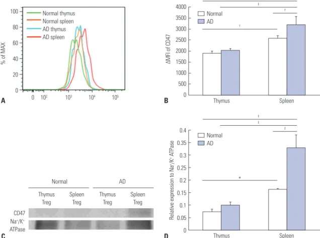 Fig. 3. Increased expression of CD47 in Treg cells from AD mice. (A) FACS analysis of expression of CD47 in Treg cells from thymuses and spleens from  normal and AD mice