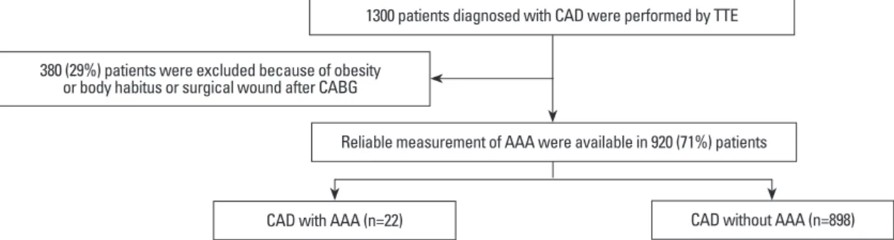 Fig. 1. Study population. CAD, coronary artery disease; AAA, abdominal aortic aneurysm; TTE, transthoracic echocardiography; CABG, coro- coro-nary artery bypass grafting.