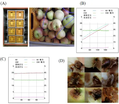 Fig. 1.  CATTS treatment. (A) Loading apples infested by Grapholita molesta larvae and installing the thermal sensors to chamber and fruits