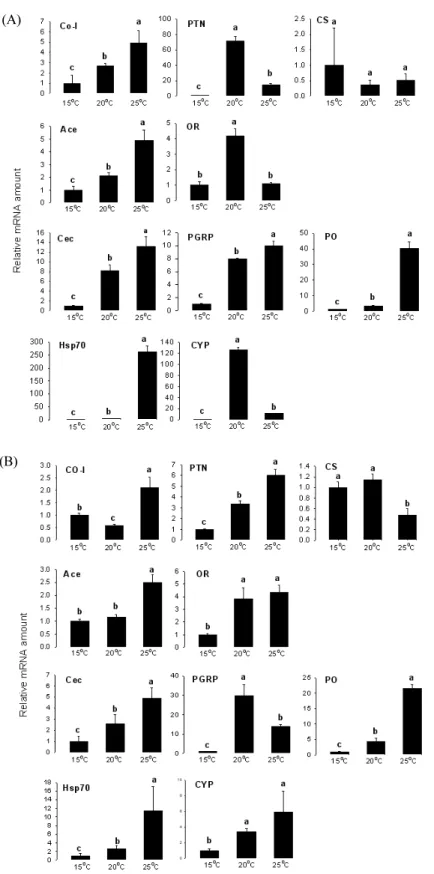 Fig. 3.  Effect of rearing temperatures (15, 20, and 25 ℃) in fifth instar Spodoptera exigua on expression of 10 genes classified into  metabolism-associated genes (CO-I, PTN, and CS), nerve system-associated genes (Ace and OR), immune-associated genes (Ce