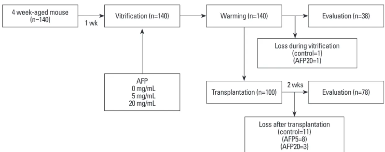 Fig. 1. Schematic representation of the experimental design. n, number of ovaries in each step; AFP5, antifreeze protein, 5 mg/mL treated  group; AFP20, antifreeze protein 20 mg/mL treated group.