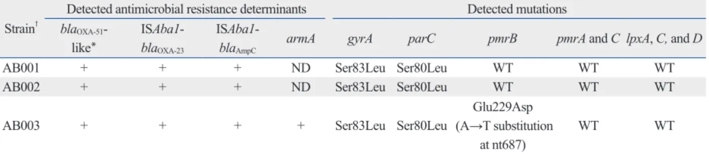 Table 2. Antibiotic Resistance Genes of Acinetobacter baumannii Clinical Isolates Strain †
