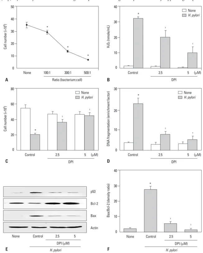 Fig. 1. Cell viability, hydrogen peroxide level, DNA fragmentation, and apoptotic indices of H