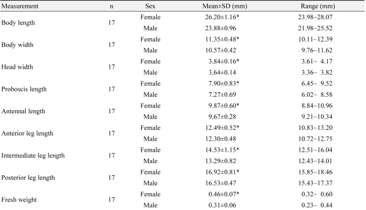 Table 2.  Morphological measurements of  C. ocellatus