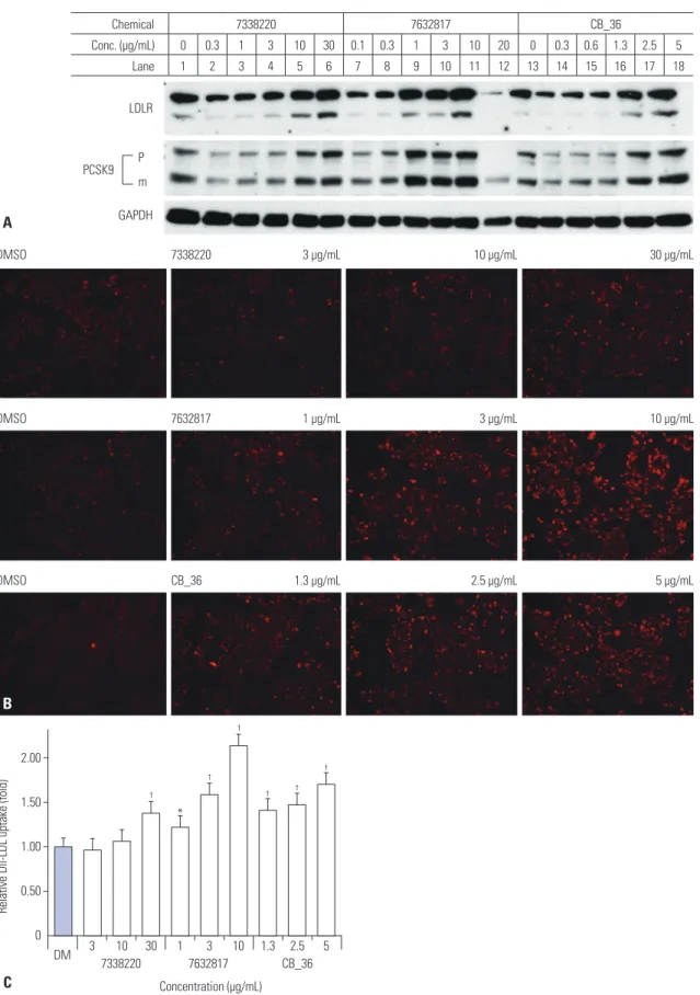 Fig. 2. Effects of CB_36 and its analogs in HepG2 cells. (A) At 18 h after treatment of CB_36, amounts of LDLR and PCSK9 were determined by immunob- immunob-lot analysis
