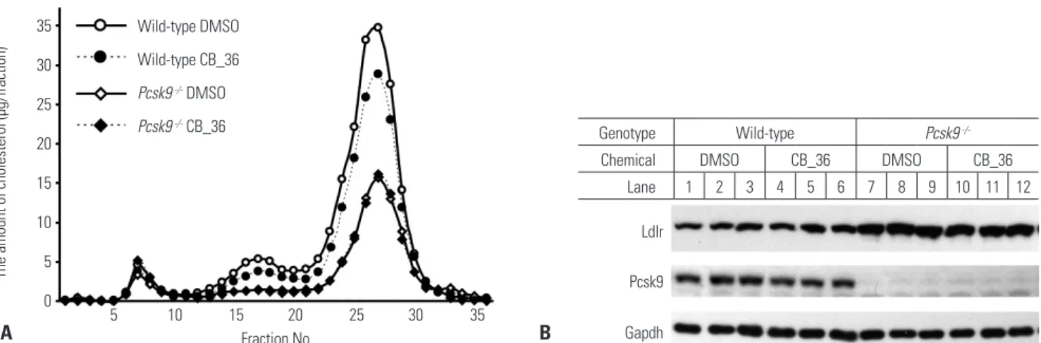 Fig. 3. In vivo effects of CB_36 in wild-type and Pcsk9 knockout mice. (A) FPLC profiles of plasma cholesterol from wild-type (WT) and Pcsk9 -/-  mice  after injection with CB_36
