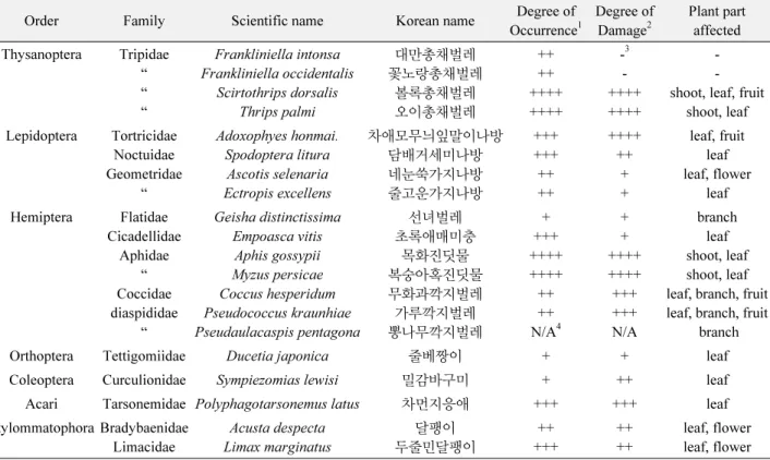 Table 1.  List of mango pests surveyed in Jeju, Korea
