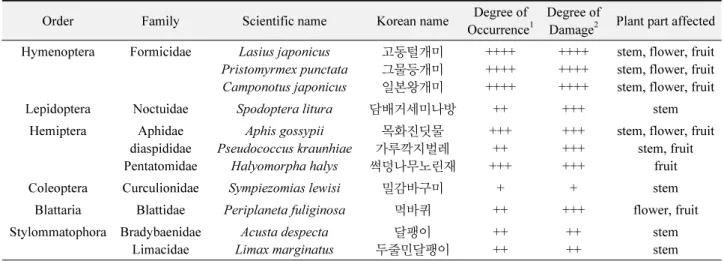 Table 2.  List of dragon fruit pests surveyed in Jeju, Korea