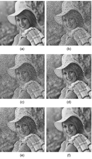 그림 3.  Girl  영상에  대한  시뮬레이션  결과  (a)  원  영상  (b)  잡음 이미지（c）A-TMF (d) CWMF (e) MMF (f) PFA Fig
