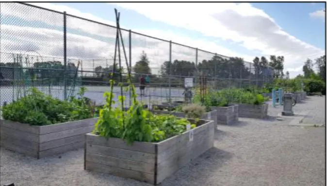 Table 6. Comparison of spatial characteristics of community gardens by case cities