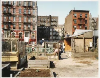 Figure 5. East 12 th Street: Community Garden. New York (1980) Source: Center for Canadian architecture