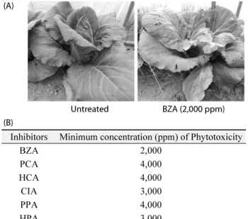 Fig. 8.  Phytotoxicities of benzylideneacetone (BZA) and its derivatives on chinese cabbage: p-coumaric acid (PCA), 3-hydroxycinnamic  acid (HCA), cinnamic acid (CIA), 3-phenyl propionic acid (PPA), and 3-(p-hydroxyphenyl)-propionic acid (HPA)