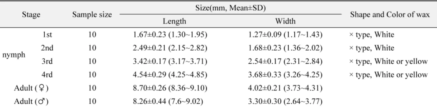 Table 3.  Morphological characters of  Ricania sp. nymphs and adult