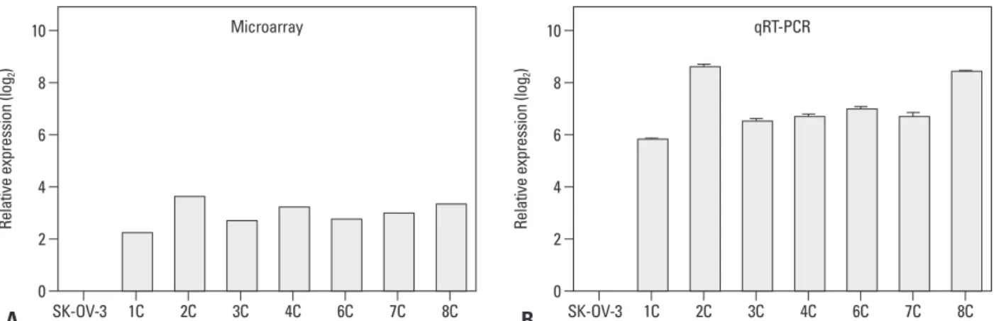 Fig. 1. CA9 expression is up-regulated in metastatic implants from mouse xenografts. CA9 mRNA expression was measured by gene expression microarray  (A) and qRT-PCR (B)