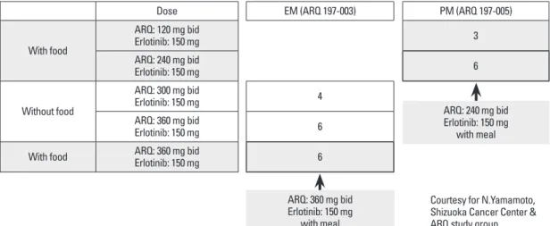 Fig. 10. Phase I combination study with erlotinib in Japan. EM, extensive metabolizer; PM, poor metabolizer.