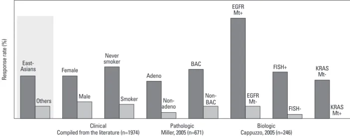 Fig. 2. EGFR-TKI is effective in patients with distinct clinico-pathological and pharmacogenomical features