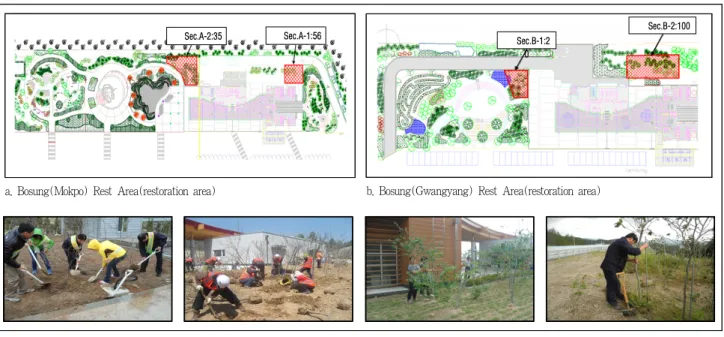 Figure 2. The restoration work of Korean winter hazel