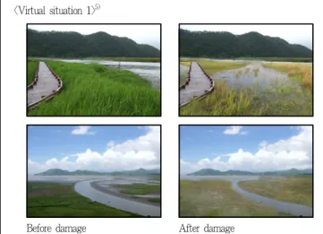 Figure 2. Virtual situation settings