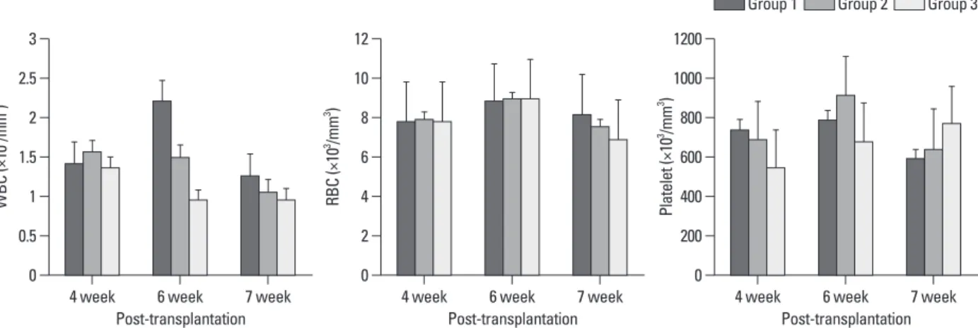 Fig. 3. Sections of the bone marrow of tibiae taken from mice of Groups 1, 2 and 3 in the eighth week after transplantation (H&amp;E, ×200)