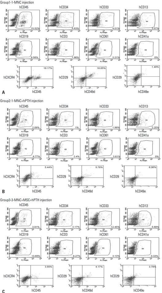 Fig. 4. The representative flow cytometric images of 3 groups. (A) Group 1, (B) Group 2, (C) Group 3