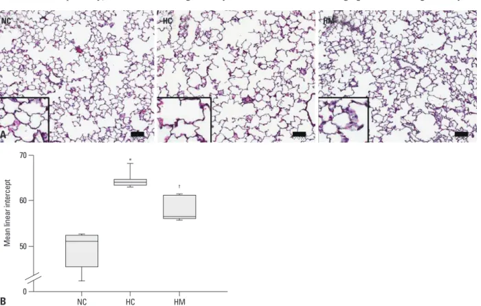 Fig. 1A presents typical photomicrographs showing histo- histo-pathological differences of the P70 rat lung in each  experi-mental group