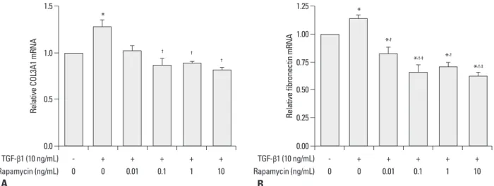 Fig. 4. (A) Effects of rapamycin on TGF-β1-induced gene expression of type III collagen in human lung fibroblasts, shown by real-time PCR