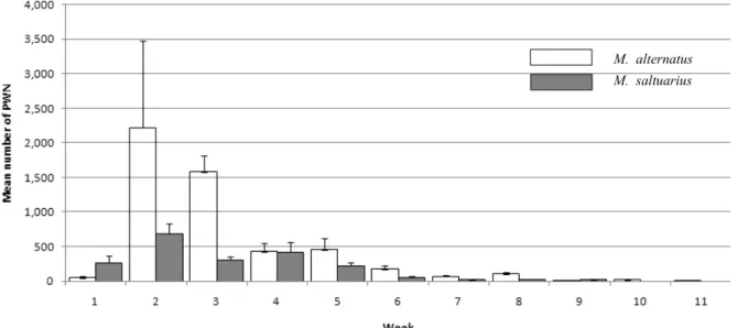 Fig. 1. The weekly number (Mean±SD) of PWN escaped from per vector of two species during experiment period.